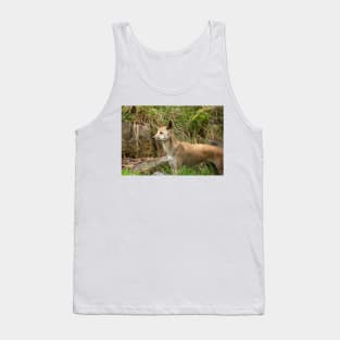 Dingo. Tank Top